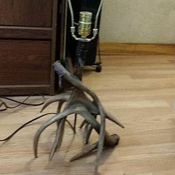 Antler lamp - Picture 3 of 3